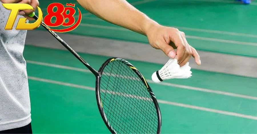 Cá cược cầu lông cung cấp nhiều lựa chọn đặt cược khác nhau