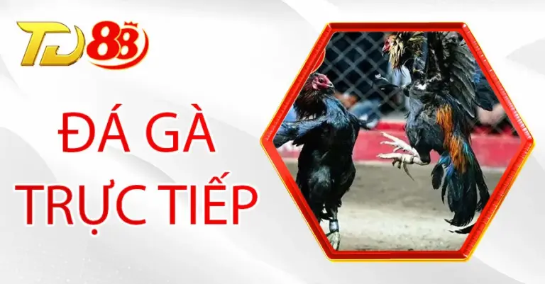 da-ga-truc-tiep-6-768x401.webp