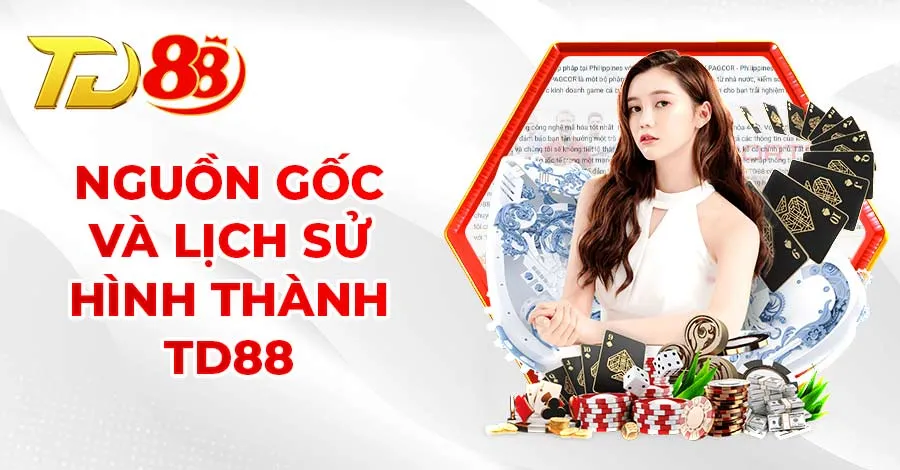 Nhà cái TD88 đi vào hoạt động từ năm 2010